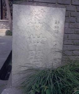 房角石图片