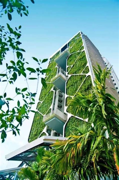 看点丨新加坡12个绝美绿色建筑_湖南绿碳建筑科技有限公司