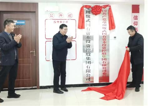 亳州魏武国控集团正式揭牌 - 安徽产业网