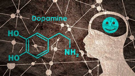 科学网—中科院上海药物所徐华强课题组合作揭示多巴胺受体D3配体选择性和激活Gi的结构基础 - 小柯生命的博文