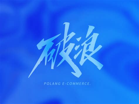 破浪（郑州）网络科技有限公司