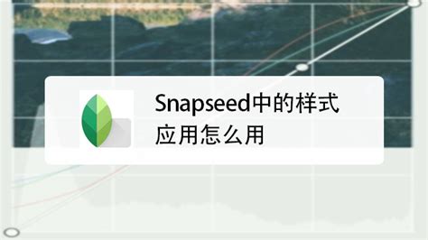 snapseed软件安装-snapseed手机修图软件免费版官方版app2022