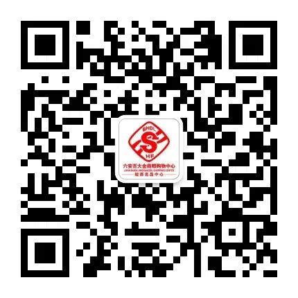 全国羽毛球后备人才（搜羽-南山）基地（六安）-安徽搜羽体育官网