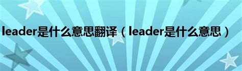 leader是什么意思翻译（leader是什么意思）_城市经济网