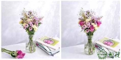 【花艺实验室 Vol.2】花瓶插花小技巧 — 1~2种花材也能插的很好看 - 知乎