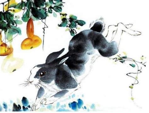十二生肖的传说之兔，因骄傲失第一-属兔-国学梦