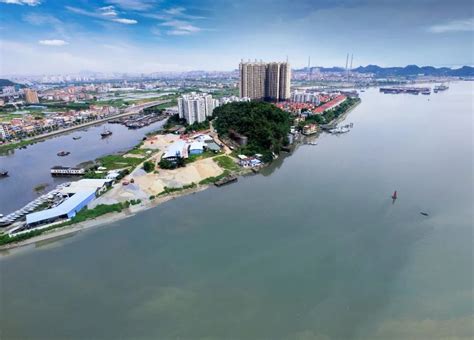 东莞也是滨海城市，世界海洋日带你get家乡的海洋知识！