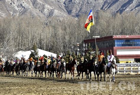 欢度藏历新年，西藏拉萨上演马术盛宴_荔枝网新闻