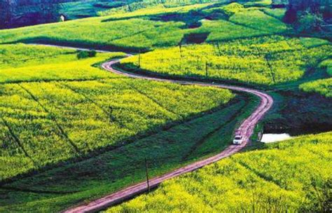农业农村部：2018年休闲农业和乡村旅游营业收入超8000亿_健康中国促进网