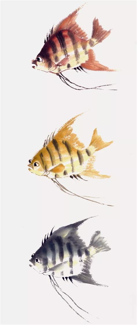 怎么画海洋风格鱼类简笔画带步骤简单又好看涂色 - 丫丫小报