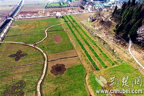 宜昌富裕山：农旅融合助力乡村振兴-国际在线