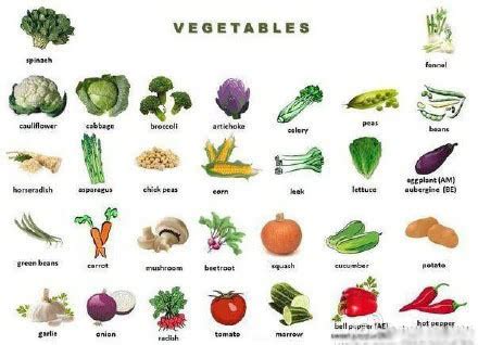 蔬菜的英语单词怎么写-百度经验