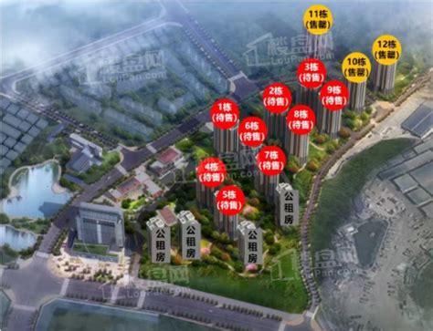 海南白沙县哪里买房适合长期住（2022年8月中牟白沙楼盘） - 臻房网-房产资讯