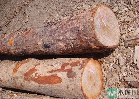 中国十大硬木排名，哪些木材属于硬木