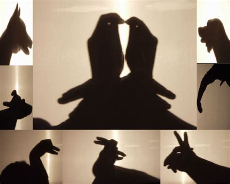 手影舞（睡前陪孩子玩这些手影，锻炼孩子想象力和灵活性） | 说明书网