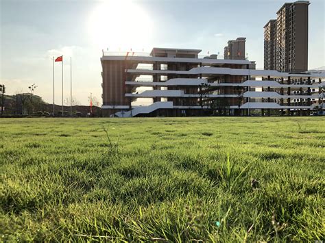 武汉盘龙城经济开发区第三中学2020最新招聘信息_电话_地址 - 58企业名录