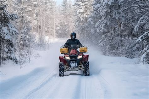 雪地中的狼高清图片下载-正版图片600540815-摄图网