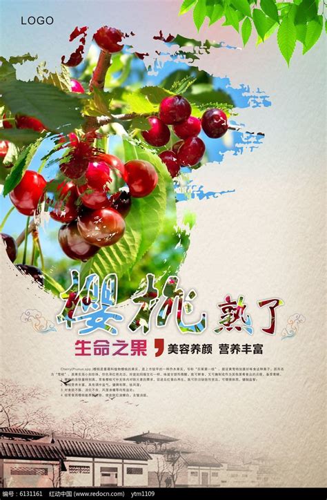 樱桃熟了海报设计图片_海报_编号6131161_红动中国