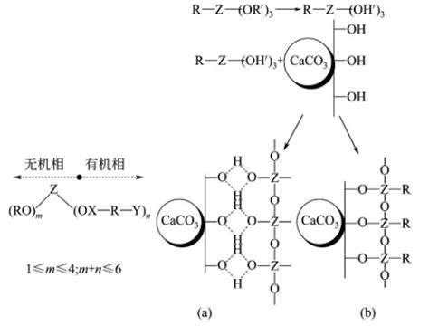 碳酸钙5大类表面改性剂的作用机制及其改性效果初探-专题-资讯-中国粉体网