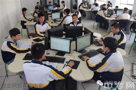 专业设置-咸阳职业技术学院信息工程学院