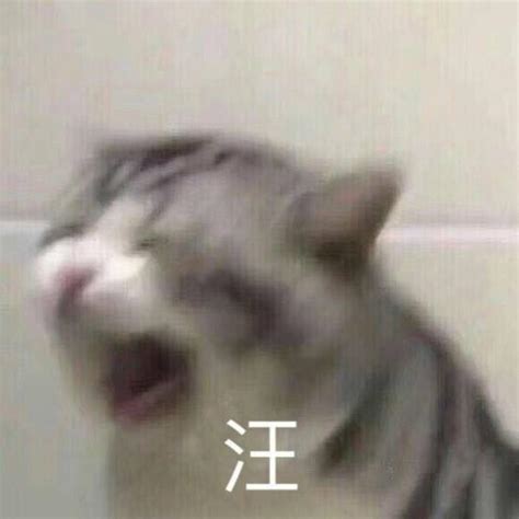 开心到模糊表情包图片 开心到模糊表情包图片