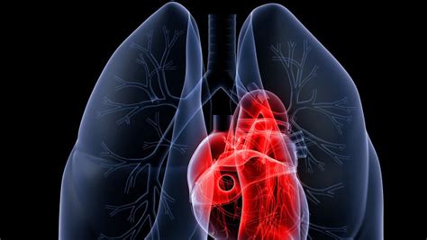 检查结果显示“肺部有阴影”，这是怎么回事？有这4种可能性