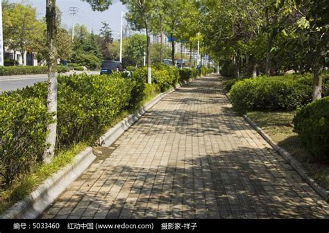青岛的马路高清图片下载_红动中国