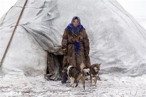 在遥远的北方驯鹿牧民的一个中年女人图片下载 - 觅知网