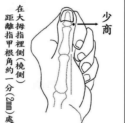 少商穴位图图片