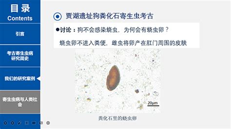 预防食源性疾病宣传册 寄生虫设计图__广告设计_广告设计_设计图库_昵图网nipic.com