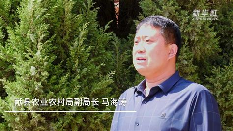 河北献县：打造肉鸭全产业链助力乡村振兴_凤凰网视频_凤凰网