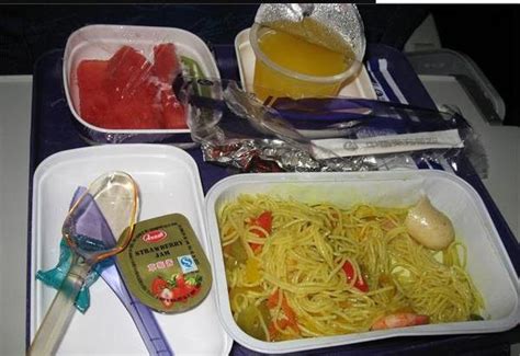 国内9大航空公司机餐大PK，你觉得哪个更好吃？|国航|墨鱼|航空公司_新浪新闻