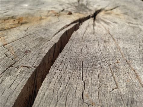 木头裂缝怎么修补，木头怎么防止开裂_行业资讯_木头云
