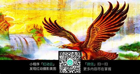 大鹏展翅图片免费下载_红动中国