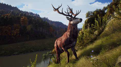 狩猎之道/猎人之路/Way of the Hunter v1.26.3|整合全DLC|容量22.9GB|官方简体中文|支持键盘.鼠标.手柄-单机游戏库