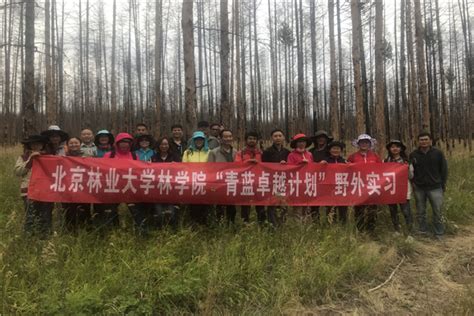 2017中国（内蒙古大兴安岭）森林旅游节将在毕拉河达尔滨湖国家森林公园开幕