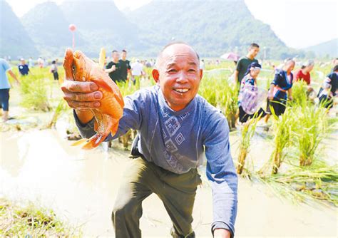 冀农种业携手农民频道《农博士在行动》栏目 让“金种子”变成“金饭碗”！