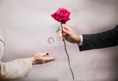 一个男人的手伸出一朵美丽的玫瑰献给一个女人高清图片下载-正版图片505743617-摄图网