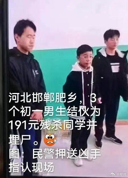 邯郸初中男孩遭3名同学杀害事件：教育不要看年龄，看行为|同学|父母|母亲_新浪新闻