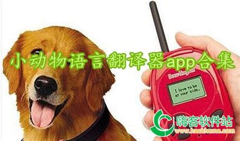 小动物语言翻译器app-万能动物语言翻译器app-与动物交流的语音器软件-嗨客手机站