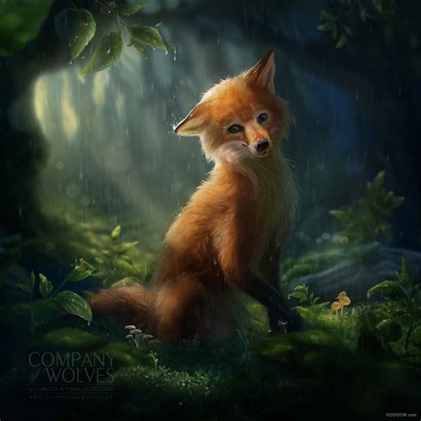 森林里的狼和狐狸以及小动物温馨插画 [26P] - 美术插画