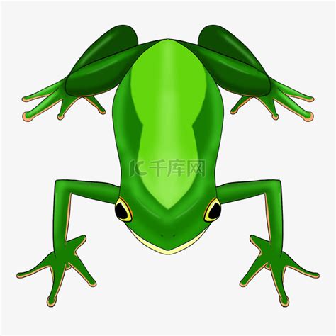 益虫青蛙动物素材图片免费下载-千库网