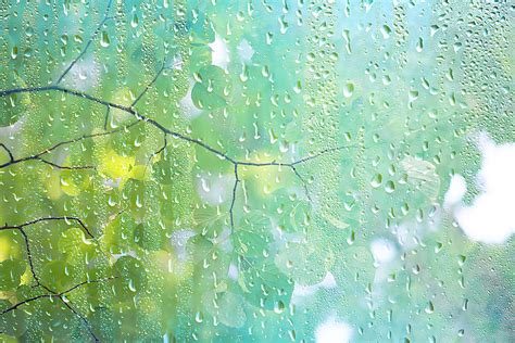 毛雨图片
