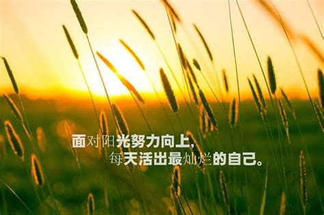 释怀放手图片