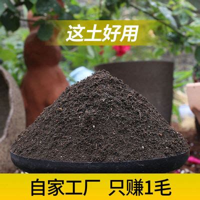 泥炭土大量批发黑土花卉种植土腐殖土绿化土有机种菜土肥料营养土-阿里巴巴