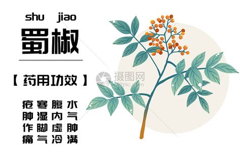 蜀椒图片