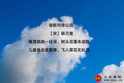 i趣最美诗词（二） 《宿新市徐公店》—杨万里