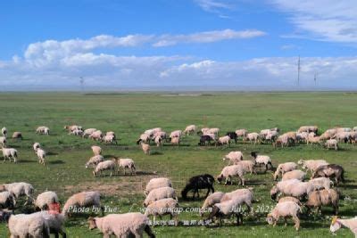 新疆哈密：草原上的“马背服务队”-人民图片网