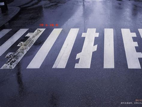 成都行人“中国式过马路”致车祸或负主责(图)_大成网_腾讯网