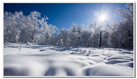 冰雪图片
